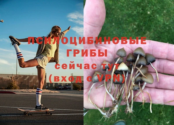 круглые Михайлов