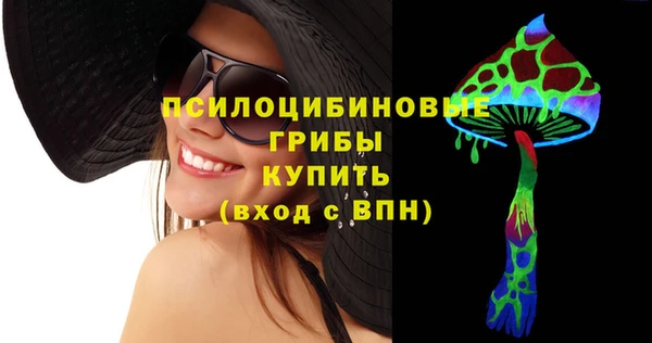 spice Дмитровск