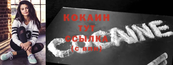 мяу мяу мука Гатчина
