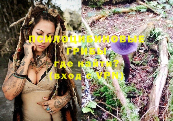 молекула духа Михайловск