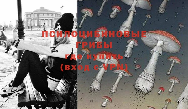молекула духа Михайловск