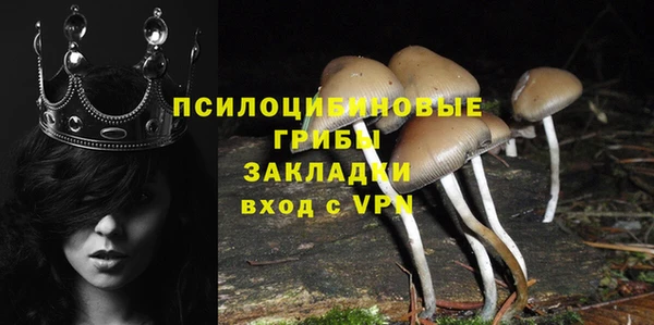молекула духа Михайловск