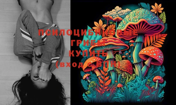 молекула духа Михайловск