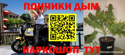 крисы Нижний Тагил