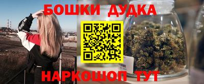 крисы Нижний Тагил