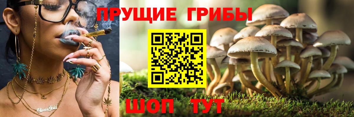 Галлюциногенные грибы мухоморы Россия